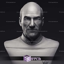 Patrick Stewart Jean-Luc Picard Bust 3D Printing Models