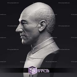 Patrick Stewart Jean-Luc Picard Bust 3D Printing Models