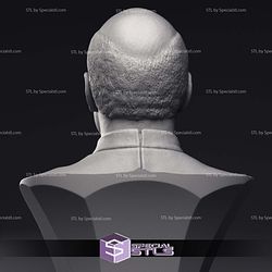 Patrick Stewart Jean-Luc Picard Bust 3D Printing Models