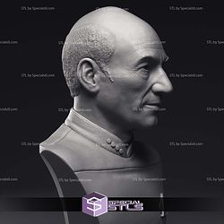 Patrick Stewart Jean-Luc Picard Bust 3D Printing Models