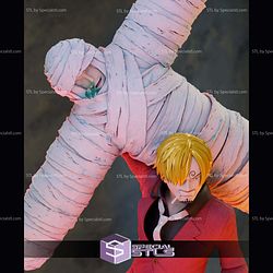 Sanji and Zoro 3D Printing Models