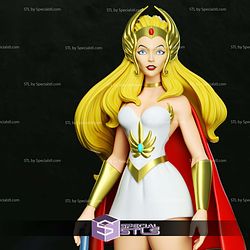 Shera 2024 3D Printing Models