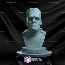 The Frankensteins Monster Bust 3D Printing Models