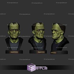 The Frankensteins Monster Bust 3D Printing Models