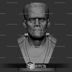 The Frankensteins Monster Bust 3D Printing Models