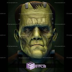 The Frankensteins Monster Bust 3D Printing Models