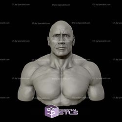 The Rock Portrait Bust 3D Printing Models