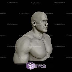 The Rock Portrait Bust 3D Printing Models