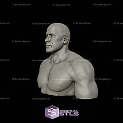 The Rock Portrait Bust 3D Printing Models