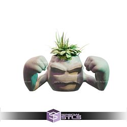 Basic STL Collection - Geodude Planter