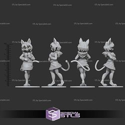 Basic STL Collection - Miss Santa Catwoman