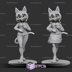 Basic STL Collection - Miss Santa Catwoman