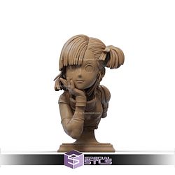 Bulma Motor Thinking Bust 3D Printer Files