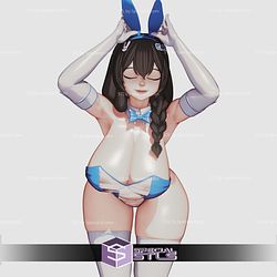 Bunny Medical Rabbit Mary Pin Up STL Files