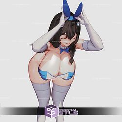 Bunny Medical Rabbit Mary Pin Up STL Files