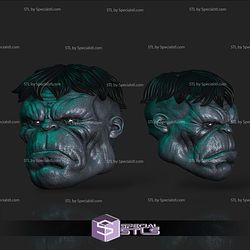 Custom Head STL Collection - Gray Hulk