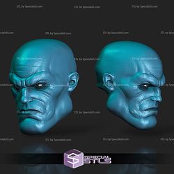 Custom Head STL Collection - Mauler Twin