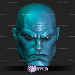 Custom Head STL Collection - Mauler Twin