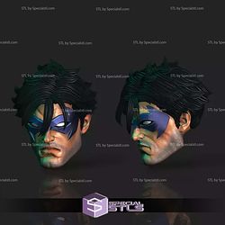 Custom Head STL Collection - Nightwing