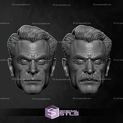 Custom Head STL Collection - Old Bruce Wayne