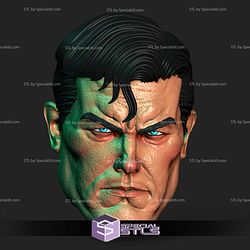 Custom Head STL Collection - Superman Alex Ross