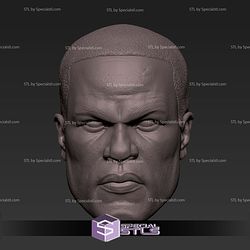 Custom Head STL Collection - Black Manta