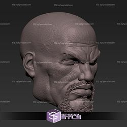 Custom Head STL Collection - Luke Cage