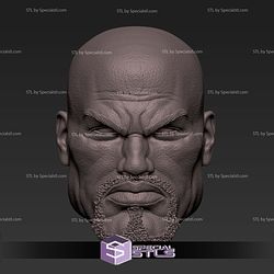 Custom Head STL Collection - Luke Cage