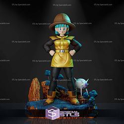 Bulma and the Hat 3D Printing Models