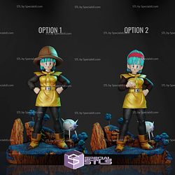 Bulma and the Hat 3D Printing Models