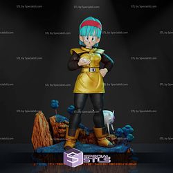 Bulma and the Hat 3D Printing Models