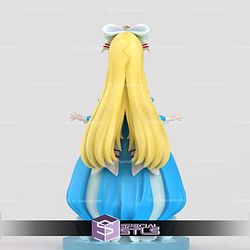 Gushing Over Magical Girls Alice 3D Printing Models