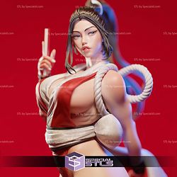 Mai Shiranui Japan Style 3D Printing Models