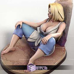 Tsunade Resting Pose Digital Printing Models