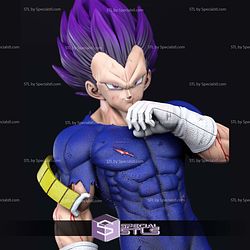 Vegeta Ultra Ego Injury 3D Printing Models