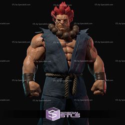 Akuma Street Fighter 2024 V2 Digital STL Files