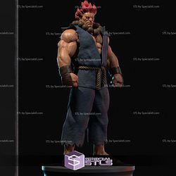 Akuma Street Fighter 2024 V2 Digital STL Files