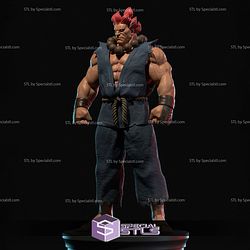 Akuma Street Fighter 2024 V2 Digital STL Files