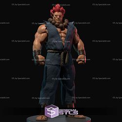 Akuma Street Fighter 2024 V2 Digital STL Files