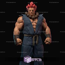 Akuma Street Fighter 2024 V2 Digital STL Files