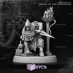 July 2024 Fantasy Archvillain Games Miniatures