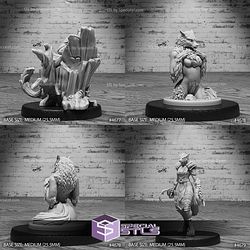 July 2024 Set 107 - Beast Hunt Epic Miniatures