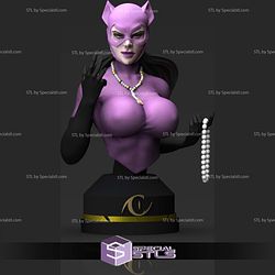 Catwoman Purple Bust Digital STL Files