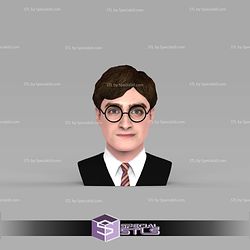 Basic STL Files - Harry Potter Bust