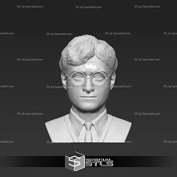 Basic STL Files - Harry Potter Bust