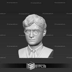 Basic STL Files - Harry Potter Bust