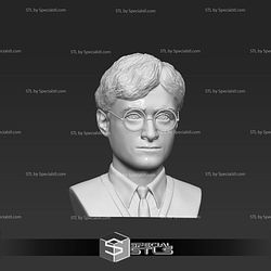 Basic STL Files - Harry Potter Bust