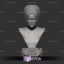 Bride Of Frankenstein Bust Digital STL Files