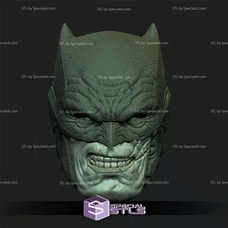 Custom Head STL - Dark Knight Returns Batman Damage