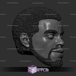 Custom Head STL - Black Panther T challa